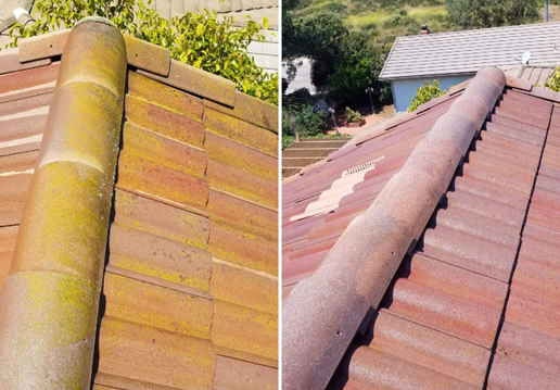 roof washing services before and after
