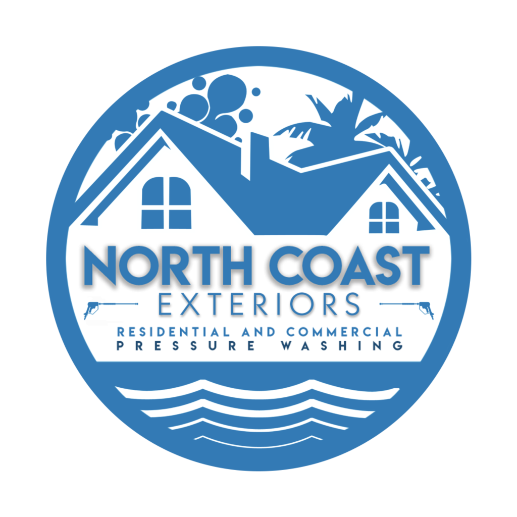 exterior cleaning professionals