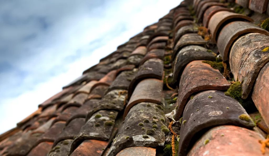 roof cleaning, professional exterior cleaning