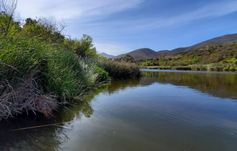 Discovery Lake San Marcos, CA