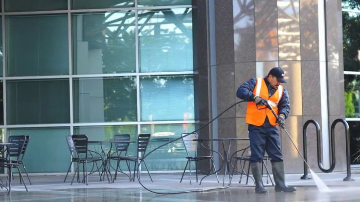Professional roof & house washing removing algae and moss from shingles