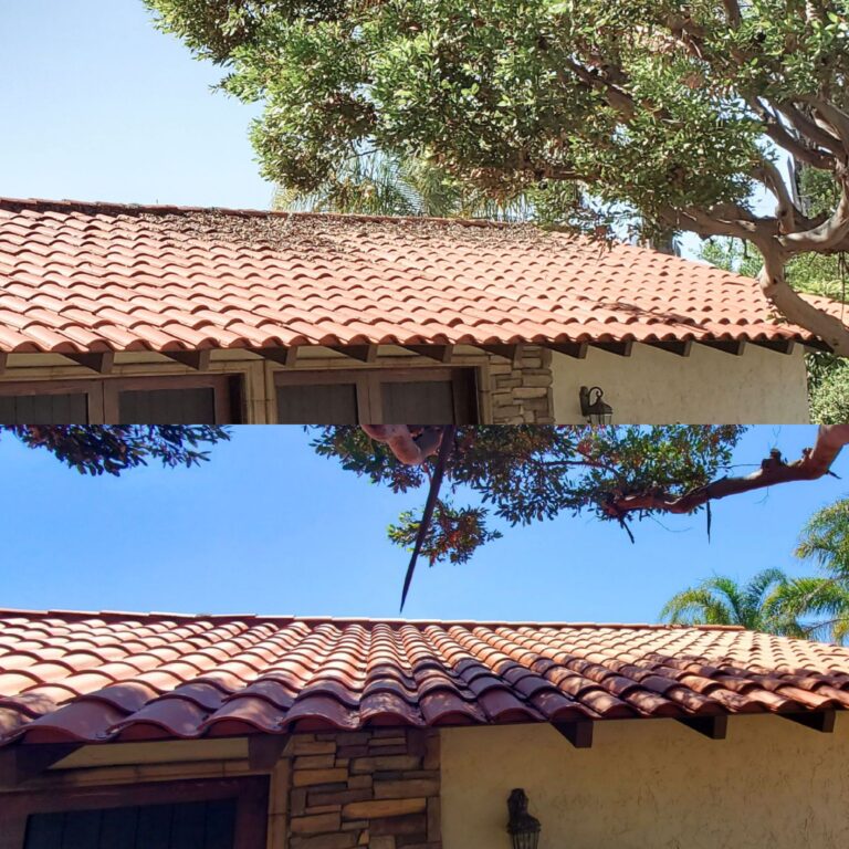 roof soft wash