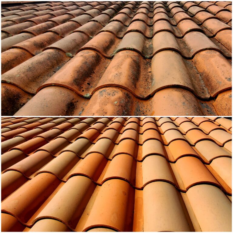 Before and after roof soft wash
