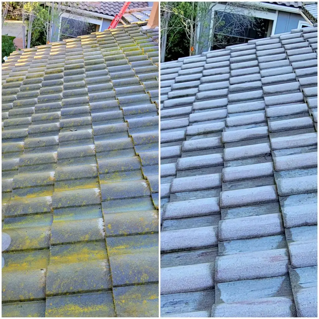 roof cleaning in san marcos california