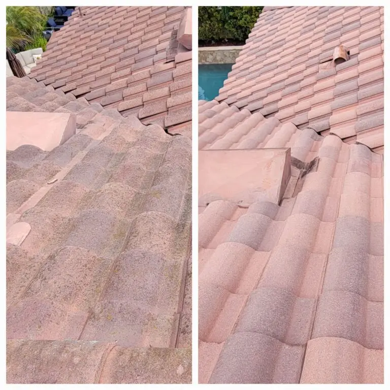 Professional tile roof cleaning before and after