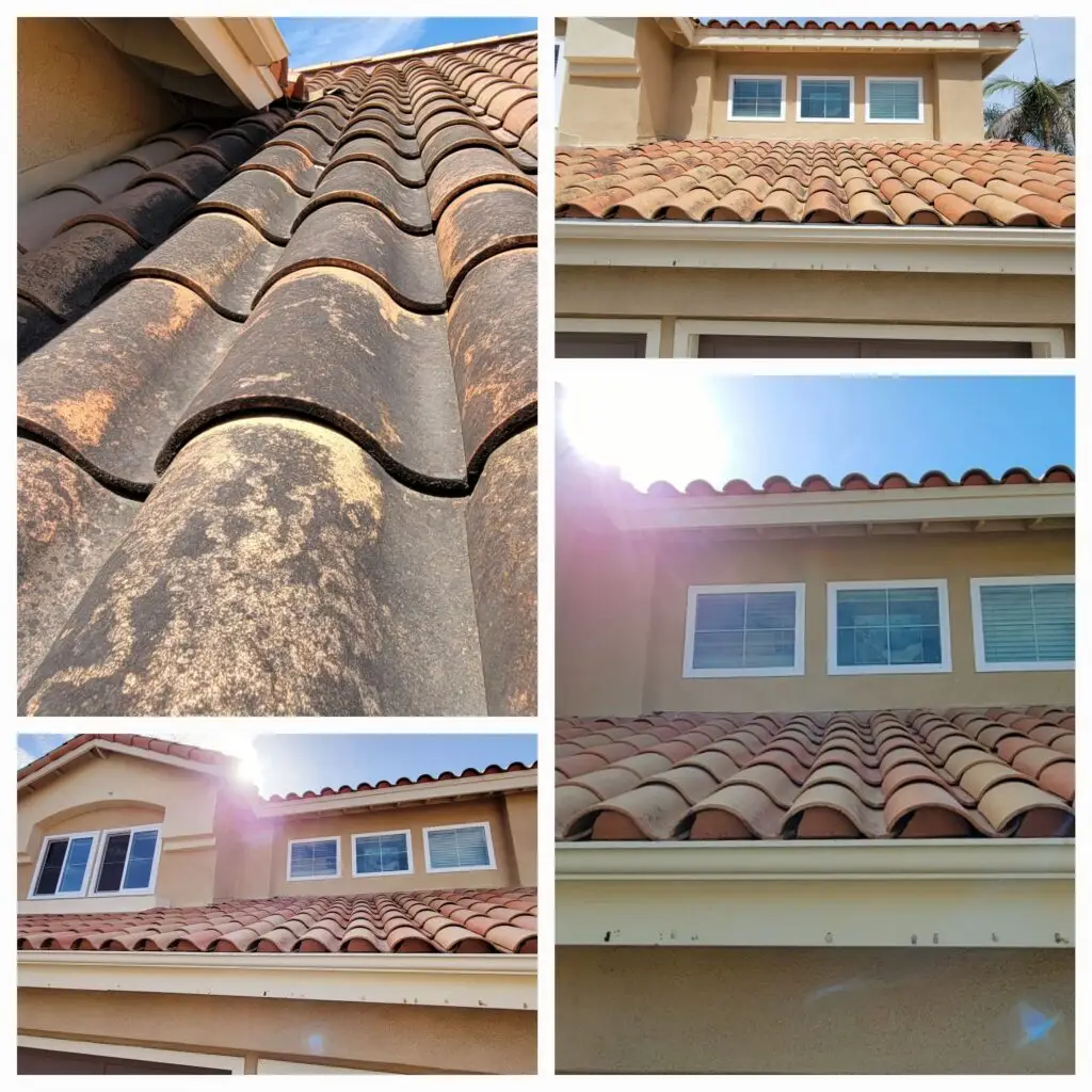 Before and after professional clay tile roof cleaning in San Diego