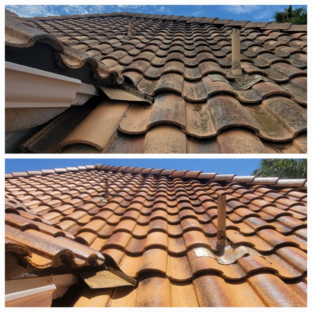 clay tile roof cleaning in Carlsbad California
