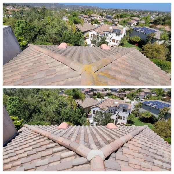 Concrete tile roof algae cleaning before and after