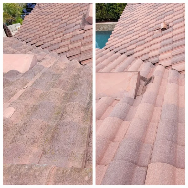 Professional tile roof cleaning before and after