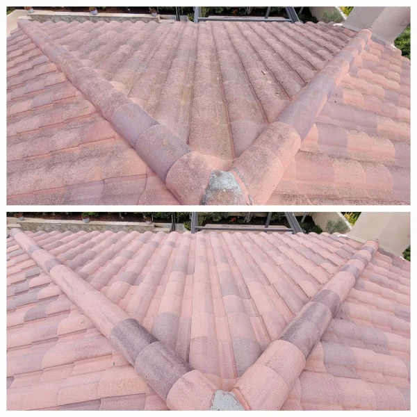 before & after tile roof cleaning in Carlsbad, CA